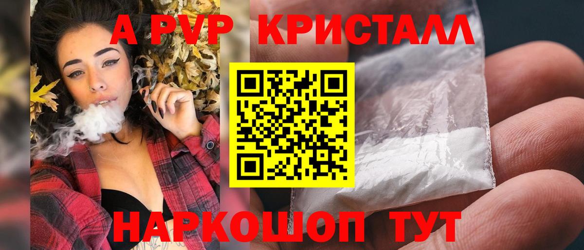 A PVP СК КРИС Тамбов